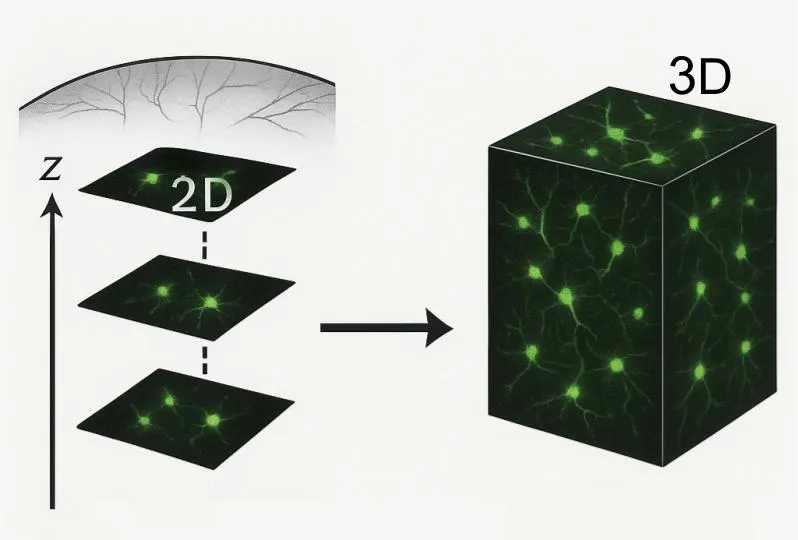 3次元像を得るために2次元画像を積み重ねる様子の概念図