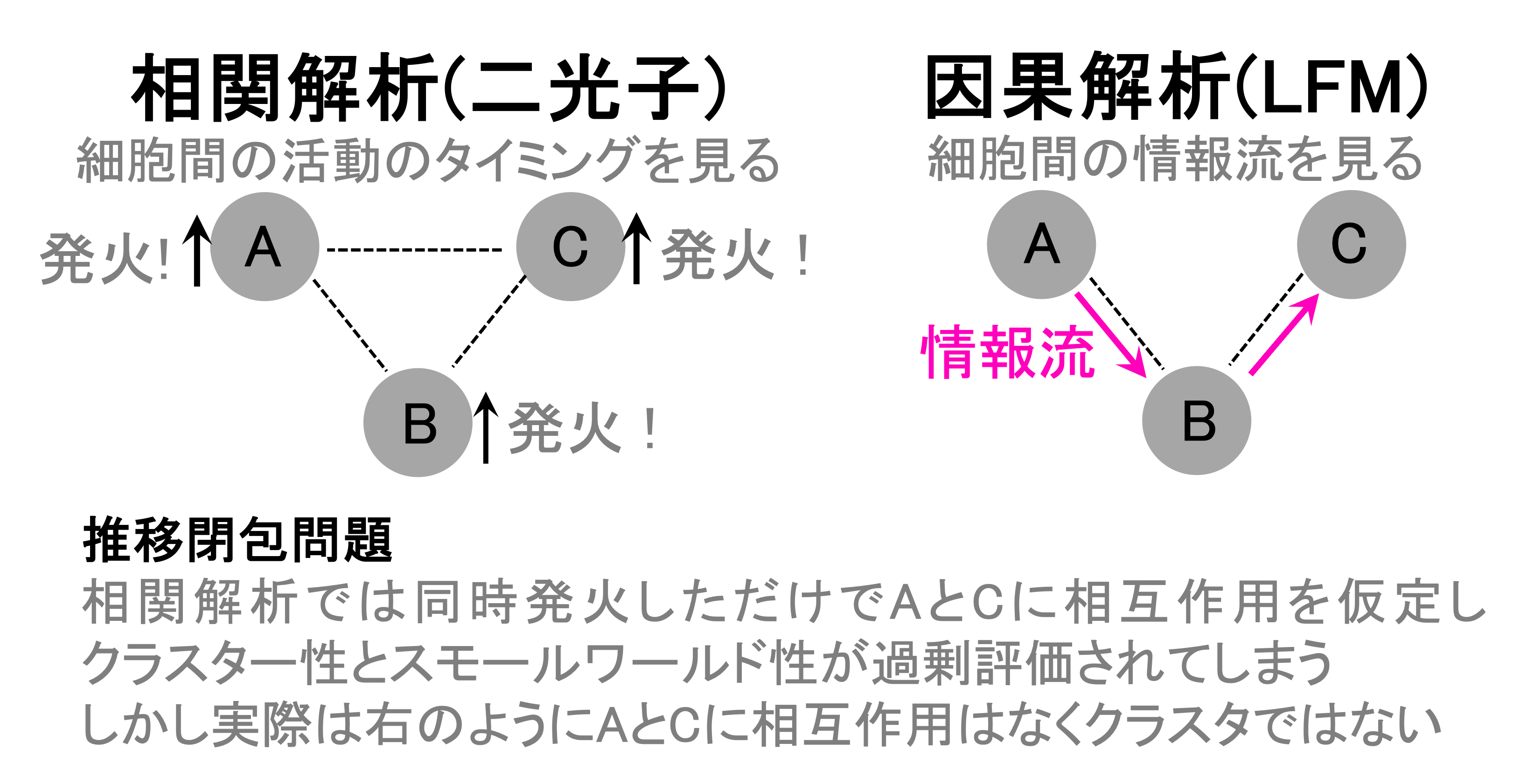 3つの神経細胞間の情報の伝播が、4D解析により初めて因果関係として捉えられるようになる図