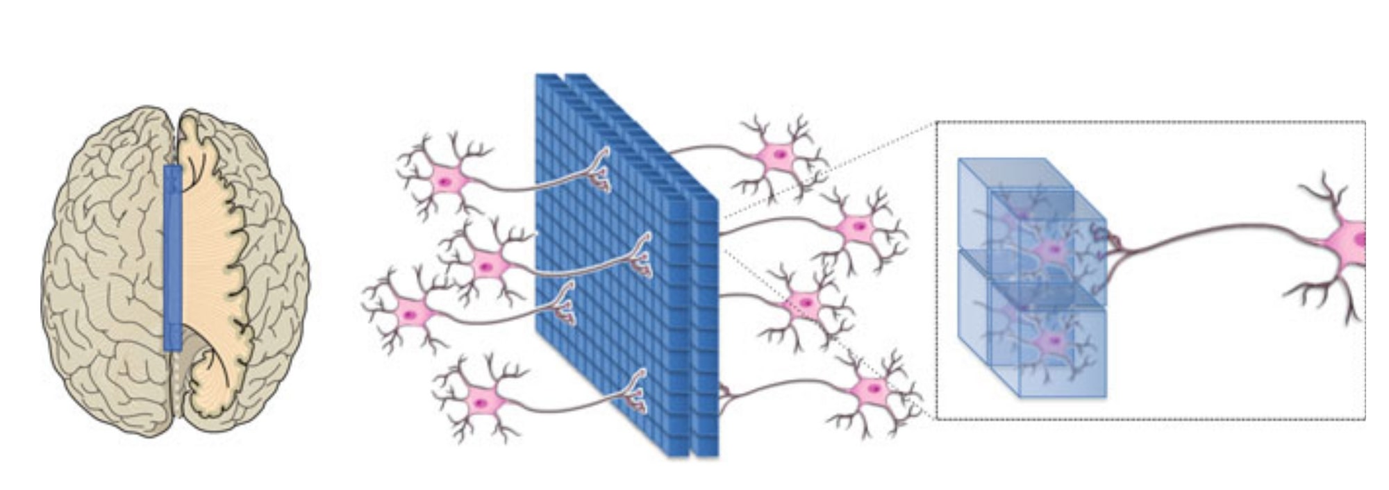 Masataka Watanabe, "From Biological to Artificial Consciousness" (Springer-Nature), 2022